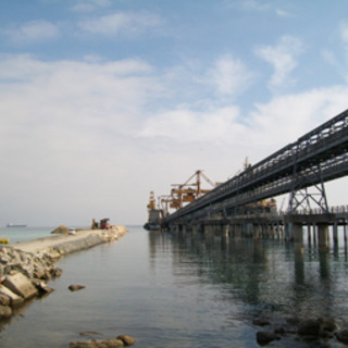 Vedere cammello, leggère cartello, grazie.