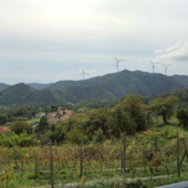 Parco eolico a Stella e Albisola, i sindaci e la Provincia dicono no: presentato un parere negativo al progetto Parco eolico a Stella e Albisola, i sindaci e la Provincia dicono no: presentato un parere negativo al progetto