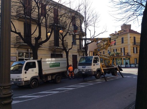 Proseguono le potature del verde pubblico in Viale Pontelungo ad Albenga