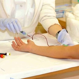Regione Liguria, in arrivo nuovo Albo donatori del sangue