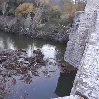 Alluvione a Cairo: rimossi i grossi alberi intrappolati sotto il Ponte Romano di Rocchetta
