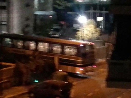 Venti profughi giunti a Savona nella notte, in corso le operazioni di smistamento. Petrocca (Croce Rossa): "Preoccupati per il sentimento di repulsione nei loro confronti"