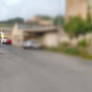 Savona, controlli della polizia locale al mercato ittico: una decina le multe per irregolarità nel trasporto degli alimenti