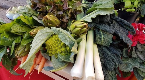 Albenga, in consiglio comunale l’approvazione del regolamento per istituire le De.Co