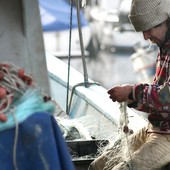 Ddl Valorizzazione del mare e pesca, Coldiretti Liguria: “Segnale positivo, ora le misure per applicarla”
