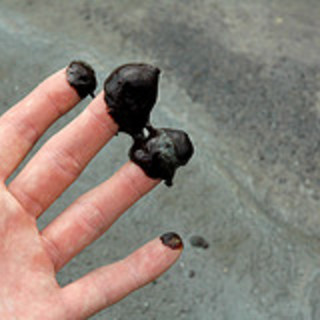 Termina l'emergenza petrolio, il ministro Galletti: "Tempi medi per la bonifica" Termina l'emergenza petrolio, il ministro Galletti: "Tempi medi per la bonifica"