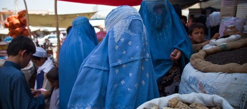 Corridoi umanitari, Balleari (FdI): "No a distinguo del politicamente corretto"