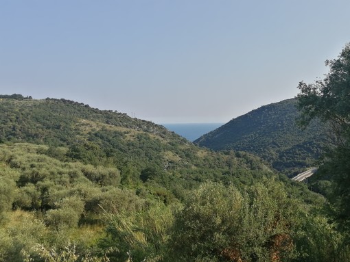 GAL Valli Savonesi, aperte le manifestazioni d'interesse al bando per la creazione di un Consorzio Forestale GAL Valli Savonesi, aperte le manifestazioni d'interesse al bando per la creazione di un Consorzio Forestale