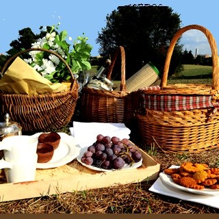 A Pietra Ligure un picnic per San Valentino presso la sede di AsinOlla