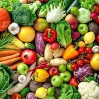Savona, l'assessore Zunato: "Facciamo scoprire i 'gusti bio' ai nostri bambini"