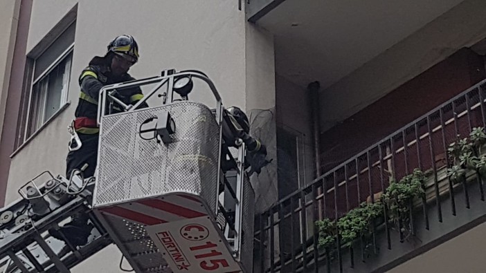 Vigili del fuoco salvano un piccione intrappolato in una rete ad Albenga (FOTO e VIDEO) Vigili del fuoco salvano un piccione intrappolato in una rete ad Albenga (FOTO e VIDEO)