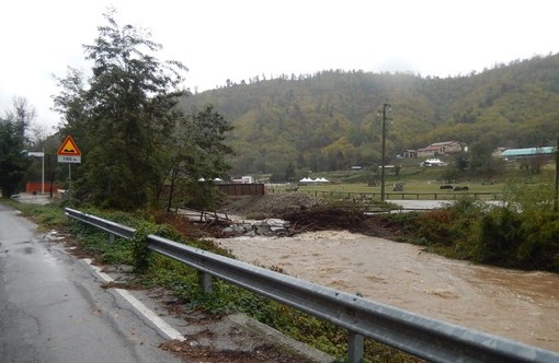 Foto di Stefano Mallarini