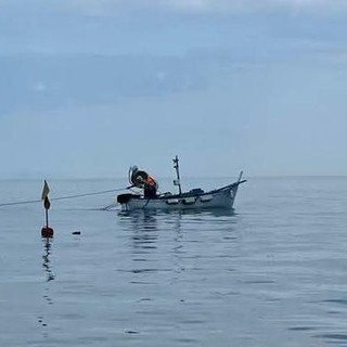 Celle e l'ultimo pescatore "Ciccio" Tarrini: i tonnetti e il "bottino" di 50 kg