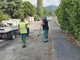 Savona, rifiuti e auto abbandonate in zona Paip a Legino: pulita l'area (FOTO)