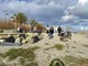 Albenga: i volontari ripuliscono la spiaggia della foce del Centa