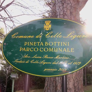 Celle, dopo la manutenzione e la messa in sicurezza riaprirà il 5 luglio la pineta Bottini