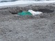 Alassio: riemergono "i tesori" nascosti dalla sabbia Alassio: riemergono "i tesori" nascosti dalla sabbia