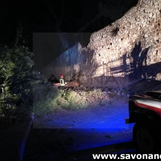 Pietra Ligure. Albero precipita su via della Cornice. Il vento l'ha sradicato dal cortile della scuola elementare (FOTO E VIDEO)