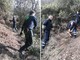 Celle, la protezione civile pulisce il sentiero Liguria da Pecorile a Sanda (FOTO)