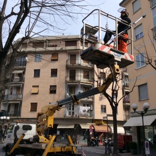 Ad Albenga proseguono i lavori di manutenzione del verde Ad Albenga proseguono i lavori di manutenzione del verde