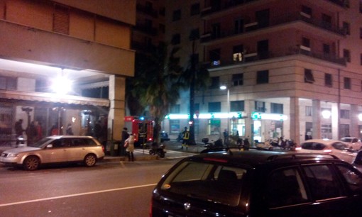 Savona, a fuoco una palma in via Gramsci Savona, a fuoco una palma in via Gramsci