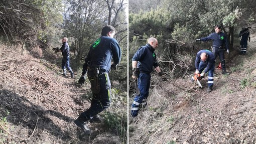 Celle, la protezione civile pulisce il sentiero Liguria da Pecorile a Sanda (FOTO)