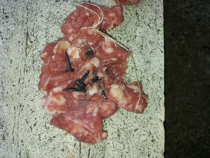 Tovo San Giacomo: rischio polpette chiodate