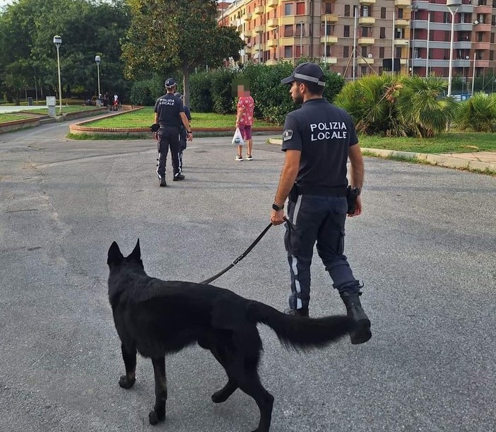 Savona, "beccato" a vendere hashish ad un minore: il Gip dispone il divieto di dimora in provincia Savona, "beccato" a vendere hashish ad un minore: il Gip dispone il divieto di dimora in provincia
