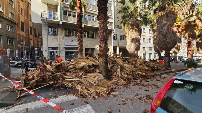 L'intervento in piazza Della Rovere a Savona
