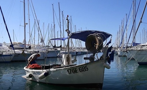 Programma regionale della pesca e dell’acquacoltura prorogato fino a fine 2022