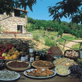 In crescita l'export "Made in Liguria"