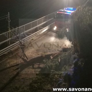 Mario Carrara all'attacco contro la "desertificazione" di Pietra Ligure