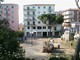 WWF Savona chiede nuovi alberi in Piazza Matteotti ad Albenga WWF Savona chiede nuovi alberi in Piazza Matteotti ad Albenga