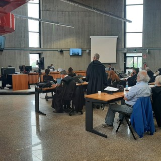 Processo Tirreno Power, il consulente della Procura: "Espiantati ed esposti i licheni abbiamo rilevato forme di alterazione significative"