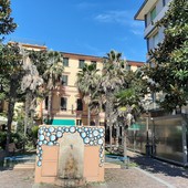 Albissola, via alla pianificazione degli interventi di riqualificazione delle alberature nelle piazze del centro Albissola, via alla pianificazione degli interventi di riqualificazione delle alberature nelle piazze del centro