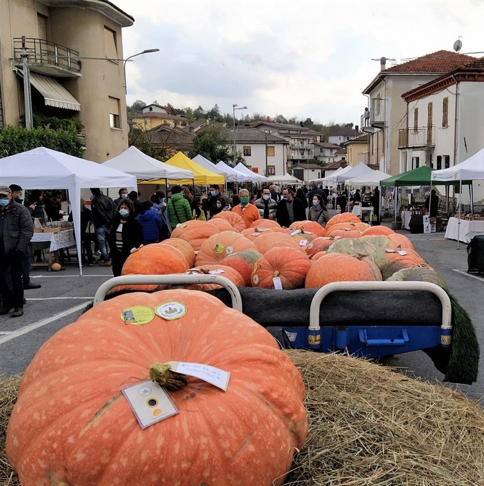 Il comune di Cengio si è aggiudicato il "Premio Piccolo Comune Amico"
