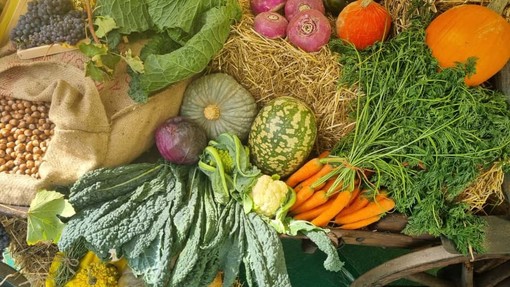 Non solo Ognissanti, il 1° novembre si celebra la Giornata mondiale dei vegani