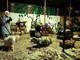 "Il Natale dei nostri nonni": inaugurato il presepe contadino a Piana Crixia (FOTO) "Il Natale dei nostri nonni": inaugurato il presepe contadino a Piana Crixia (FOTO)