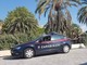 Savona, palma pericolante in zona Prolungamento (FOTO) Savona, palma pericolante in zona Prolungamento (FOTO)