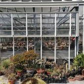 Savona, 48 Patti tra Comune e cittadini per valorizzare spazi e parchi della città