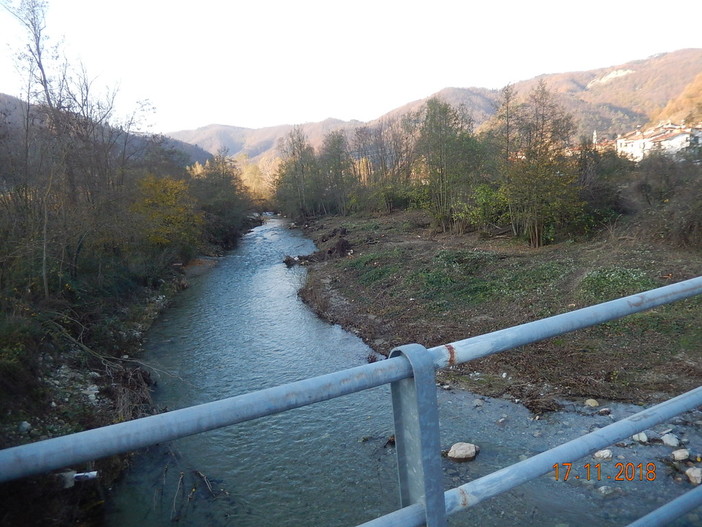 Pulizia dell'alveo del Bormida in località Mallarini a Pallare