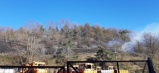 Incendio pineta a Cosseria: in azione vigili del fuoco e AIB Incendio pineta a Cosseria: in azione vigili del fuoco e AIB