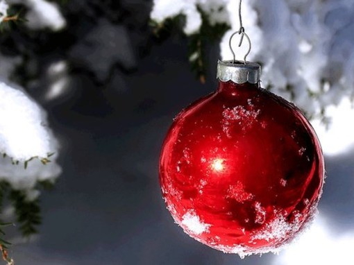 BUON NATALE AI NOSTRI LETTORI! I migliori auguri dalla redazione di Savonanews.it