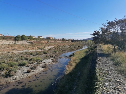 Albenga, prosegue la pulizia del Centa e dei rii Carenda e Carpaneto Albenga, prosegue la pulizia del Centa e dei rii Carenda e Carpaneto