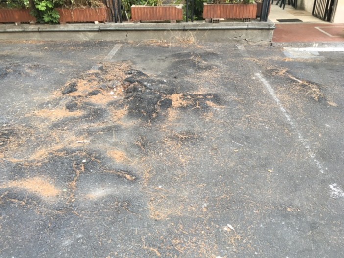 "Piazza Matteotti ad Albenga, una gimcana tra buche e dossi": la denuncia di Ciangherotti