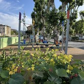 Carcare, Plastic Free in campo per ripulire il territorio