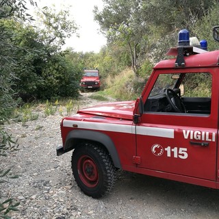 Immagine di repertorio