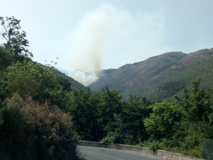 Incendio boschivo a Peagna, intervengono 2 canadair