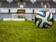 Premier League, i segreti del successo di un modello di business unico Premier League, i segreti del successo di un modello di business unico