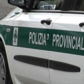 Polizia Provinciale, De Ferrari:"La Regione mantiene solo il 30% del corpo, e le ecomafie ringraziano"
